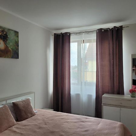 Amparo Apartment Satu Mare Exterior photo