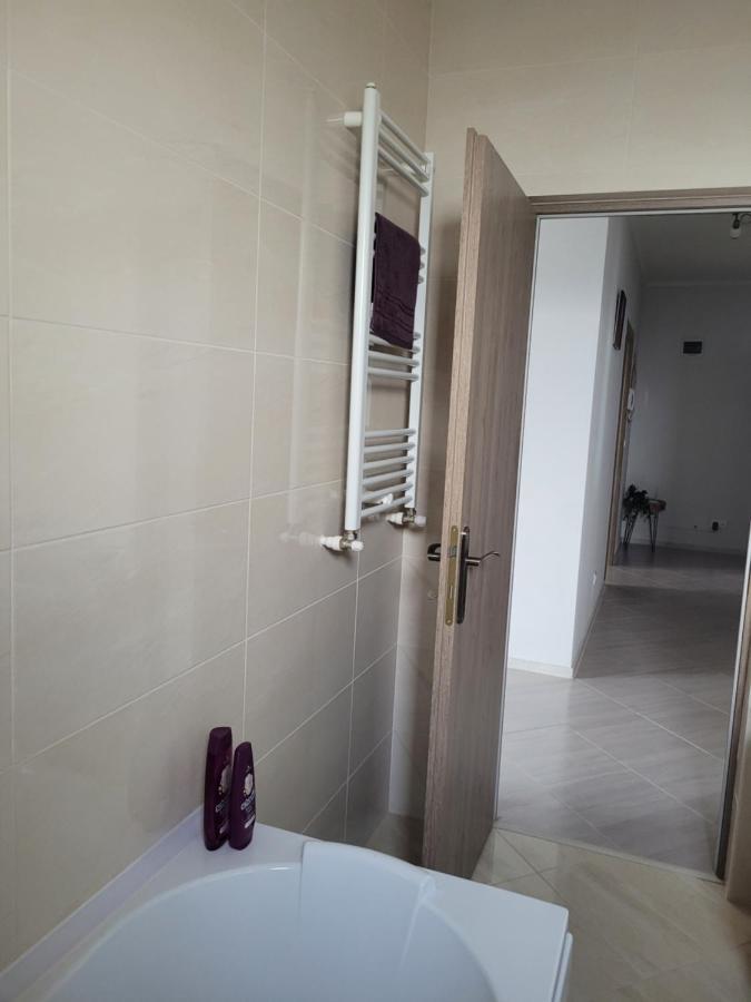Amparo Apartment Satu Mare Exterior photo